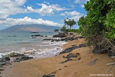 travel chanel island explorers maui|Travel Channel’s Island Explorers Spotlights Maui.